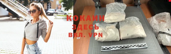 МДПВ Каменногорск