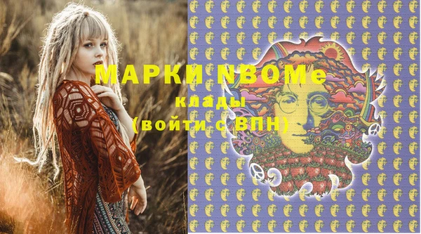 МДПВ Каменногорск