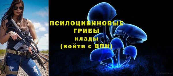 МДПВ Каменногорск
